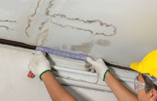 Reliable Water Damage Repair contractor in Garden City, UT by Hirex Water Damage